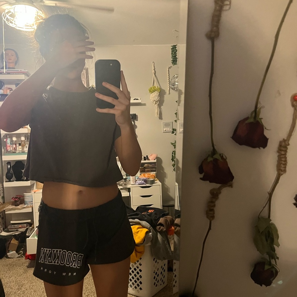 American Eagle Outfitters Gray Crop Top